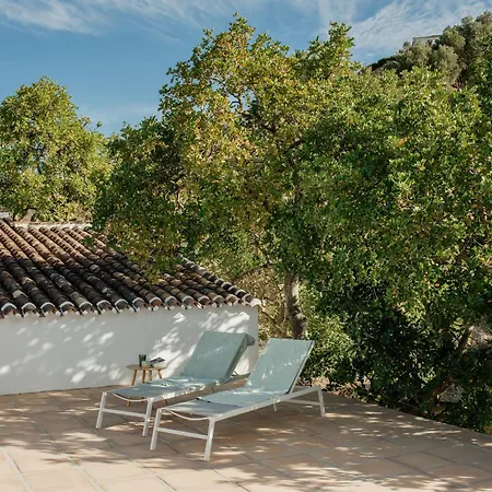 Holiday home Casa Olivia *